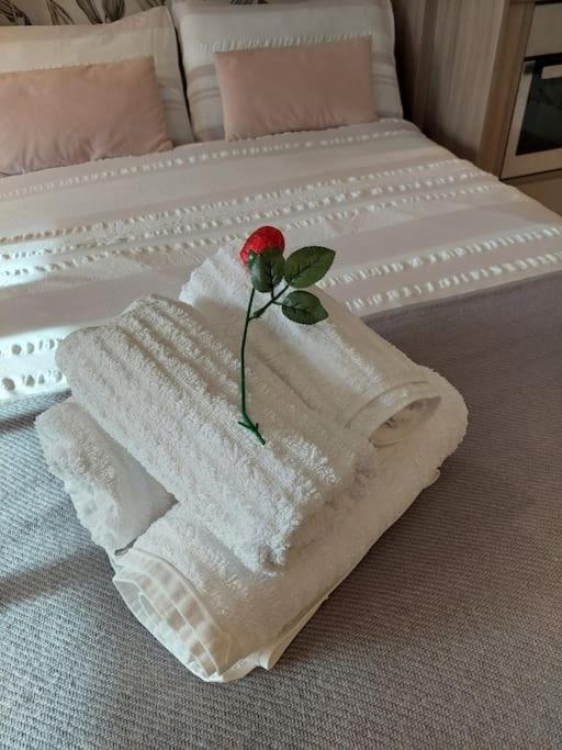 21 The Cocoa Suites York Eksteriør billede